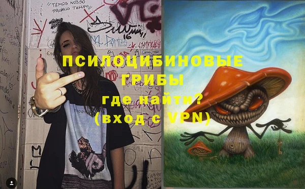не бодяженный Зеленодольск